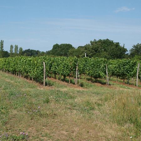 فندق Le Logis Du Livier Saint-Georges-sur-Layon المظهر الخارجي الصورة